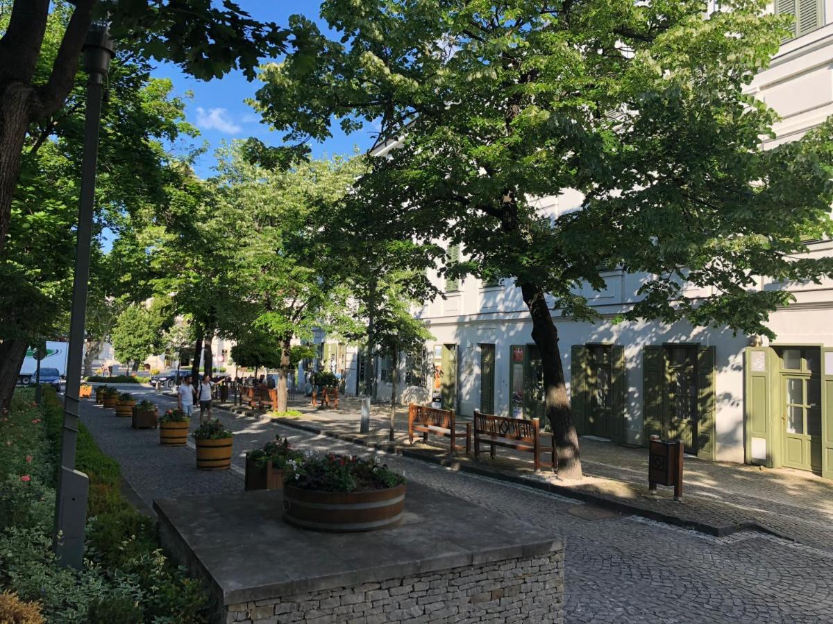 Kedves Vendeghaz Bed & Breakfast Balatonfüred Dış mekan fotoğraf