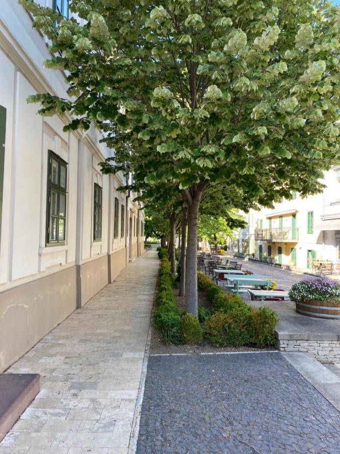 Kedves Vendeghaz Bed & Breakfast Balatonfüred Dış mekan fotoğraf
